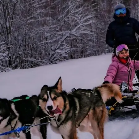 Moose Island- Lofoten, Tromso, Senja In One Step 別荘