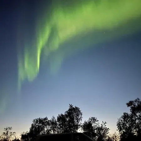 Blue Ocean - Lofoten, Tromso, Senja Holiday home Engenes