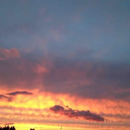 Moose Island- Lofoten, Tromso, Senja In One Step *