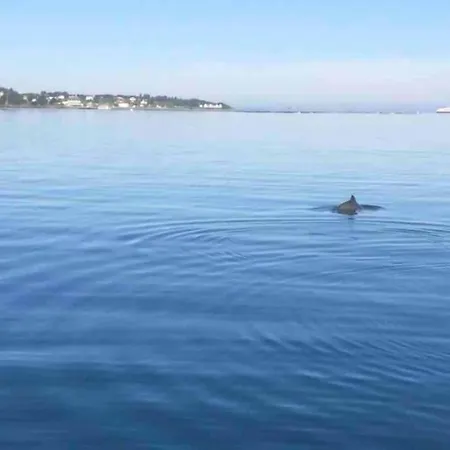 Blue Ocean - Lofoten, Tromsø, Senja *