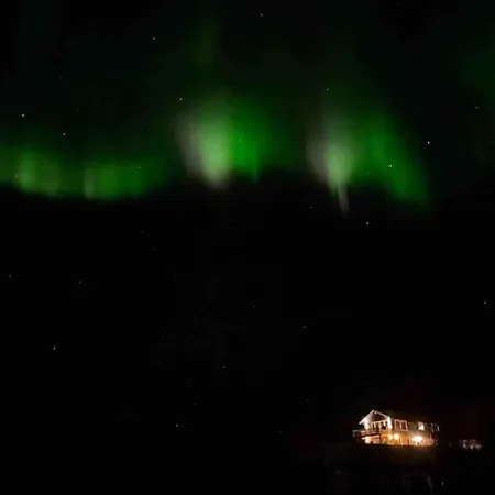 Moose Island- Lofoten, Tromso, Senja In One Step 別荘