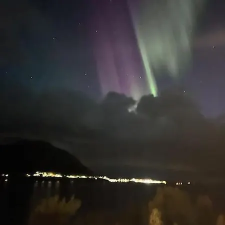 Moose Island- Lofoten, Tromso, Senja In One Step Engenes