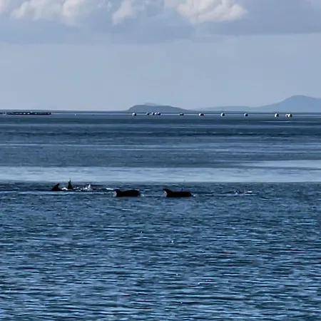 別荘 Moose Island- Lofoten, Tromso, Senja In One Step *