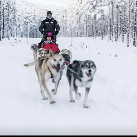 Blue Ocean - Lofoten, Tromsø, Senja Engenes