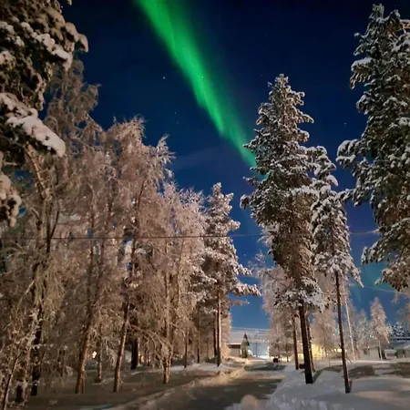 Moose Island- Lofoten, Tromso, Senja In One Step