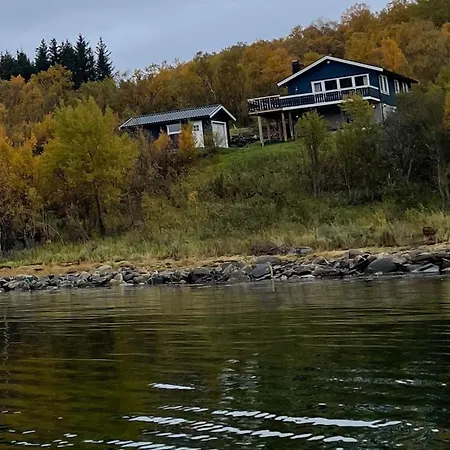 Feriehus Moose Island- Adventure In The North Engenes