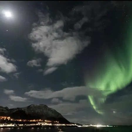 Moose Island- Lofoten, Tromso, Senja In One Step * Engenes