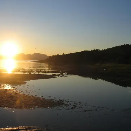 Moose Island- Adventure In The North Feriehus Engenes