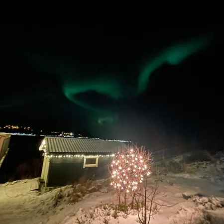 Moose Island- Adventure In The North *