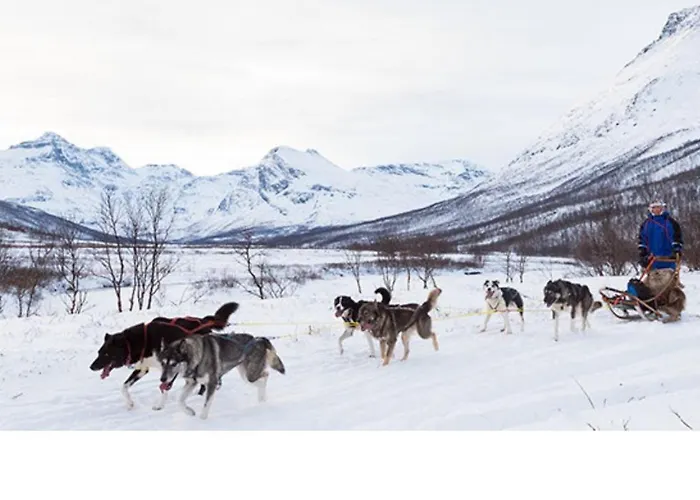Moose Island- Lofoten, Tromso, Senja In One Step Engenes