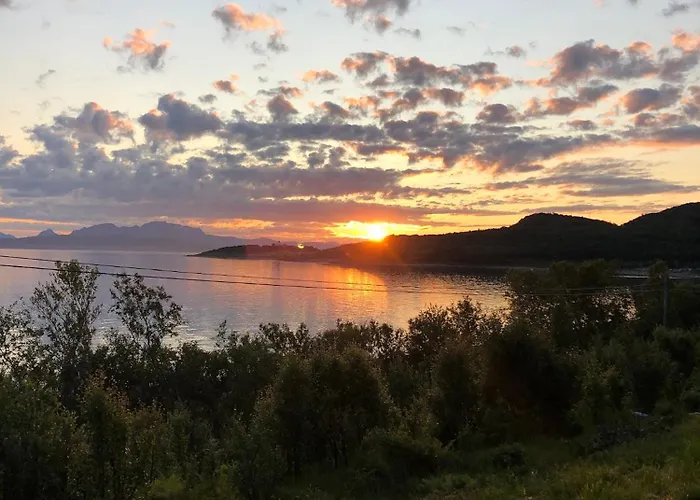 Moose Island- Lofoten, Tromso, Senja In One Step Engenes