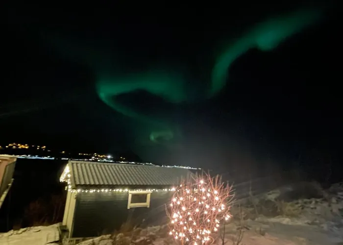 Moose Island- Lofoten, Tromso, Senja In One Step *