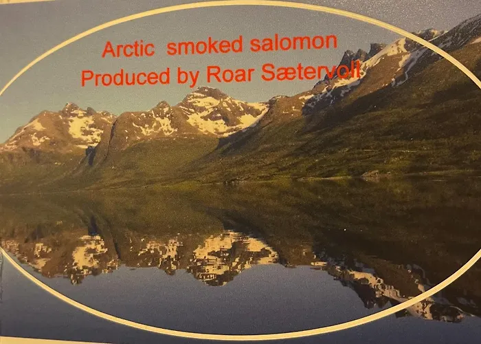 Сasa de vacaciones Moose Island- Lofoten, Tromso, Senja In One Step Engenes