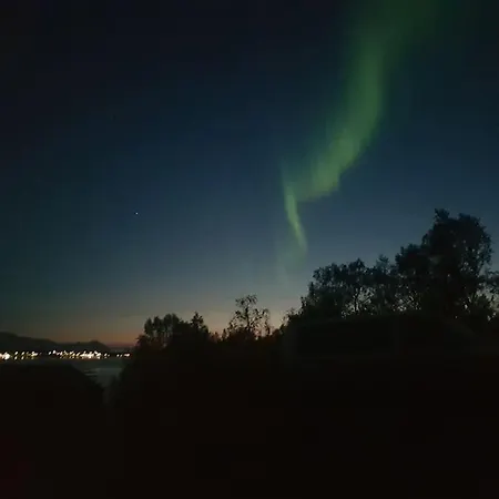 Moose Island- Lofoten, Tromso, Senja In One Step 度假居 *