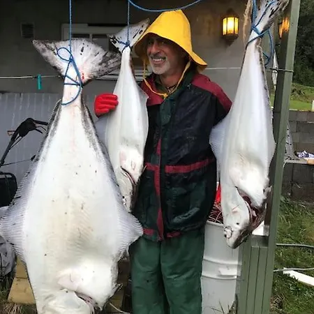 Moose Island- Lofoten, Tromso, Senja In One Step 度假居 *