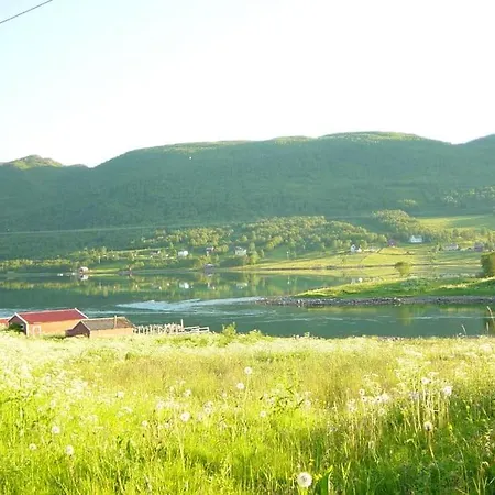 Moose Island- Lofoten, Tromso, Senja In One Step