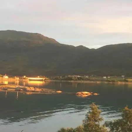 Moose Island- Lofoten, Tromso, Senja In One Step